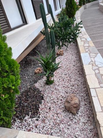 Appartement de Haut standing en résidence Agadir Esterno foto